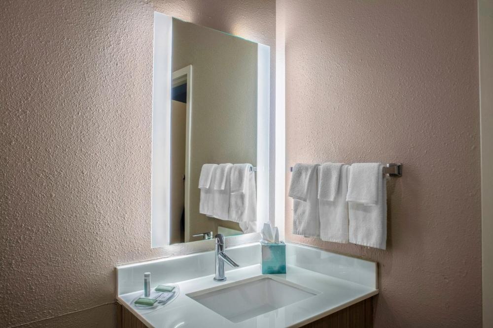 SpringHill Suites by Marriott Baton Rouge South